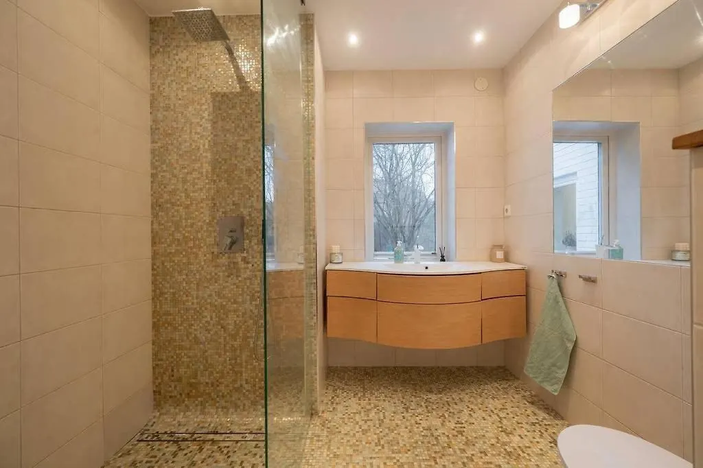 Luxury Villa With Spa And Private Lake Stockholm